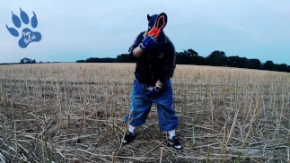 Baggy-Skater-Welpe beim Schnüffeln auf dem Feld Airmax 270
