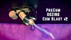 Cumshots