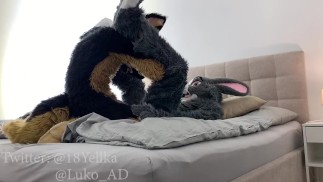 Caldo pastore tedesco scopa carino grigio sottomesso coniglietto (Murrsuit porno)