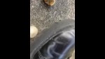 Afspeellijst thumbnail 56906231-2
