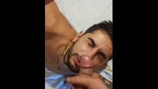 escravo chupa meu pau e engole porra