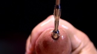 Znějící Penis-Plug XXXL Zblízka Krásné Stvoření