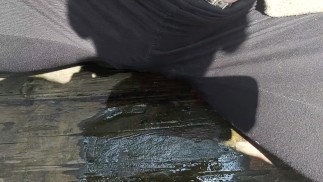 Pisse publique dans les bois 