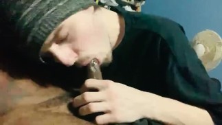 Stoner Twink Saje Rovné Dealery Kohout