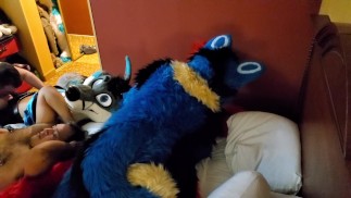 Brff Murrsuit Party / orgie broeden en alle soorten furry seks