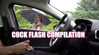 NICHE PARADE - Cock Flash Zusammenstellung