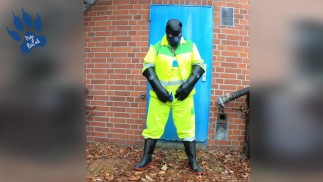 Hiviz Workie Welpe scharrt im Freien