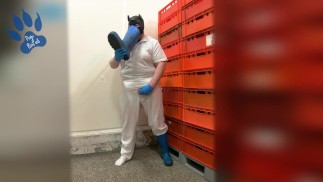 Butch(er) Welpe scharrt bei der Arbeit