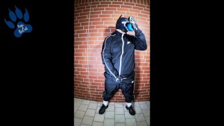 Scally Pup im glänzenden Trainingsanzug, der mit den Pfoten scharrt und schnüffelt