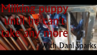 Puppy melken