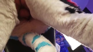 Fursuit Fionda Cazzo