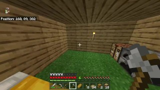 Minecraft Épisode 2: Construire une maison