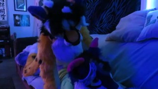 Pup and furry