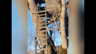 Am Hochsitz gesquirtet