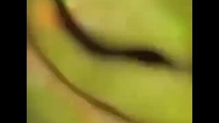 Pris en 4k en train de baiser vos lobes de oreille