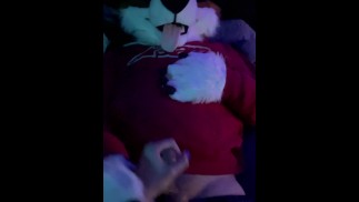 Nadržená kolie murrsuit dostane honění