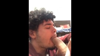 Latino monster kohout je cucán spolubydlícím