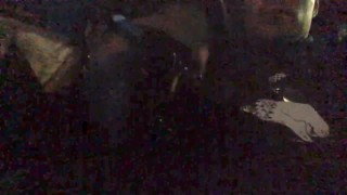 Подобрал латинскую проститутку, и она сделала мне небрежный минет в моей машине