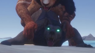 Gay Leone & Lupo Cazzo Da Il Spiaggia E Fare Un Sacco Di Cum (Peloso Orgasmo In Bocca) / Wild Life Furries