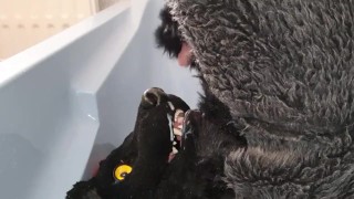 Murrsuiter pisses on himself and inside his maw for a good drink then cum inside