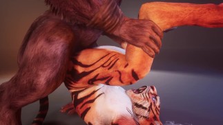 [Feticcio della scoreggia] Minotauro sborra dentro Tiger Boy dopo essersi seduto per la prima volta sulla sua faccia | Fauna selvatica Peloso
