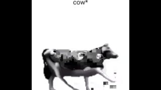 Danse de vache polonaise anglaise (reprise par moi)