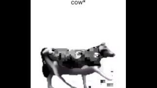 Dança de vaca polonesa inglesa (reprisada por mim)