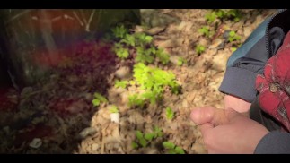 Bärtiger Typ pisst in den Wald. Ein Mann erleichtert sich in der Natur