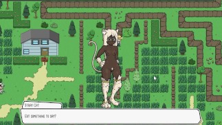 Monster Girl Hunt Parte 4: Spogliare la mia Catgirl