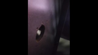 Último boquete da livraria adulta HORSECAVE KY