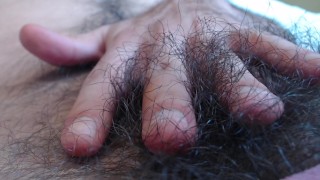 minha porra de arbusto quente para você
