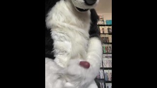 Eclipse Husky branler et éjaculer