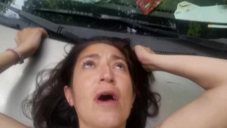 車のボンネットの上の小さな義姉妹