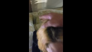 Tatínkova malá zasraná panenko, tohle musíš vidět!!! SpinderBella, BWC_icecream_man