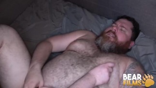 BEARFILMS Толстые медведи Харрисон Бернс и Бьорн Йонссон Порода