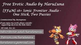 18+ Audio - Jedna hůl, dvě kundičky