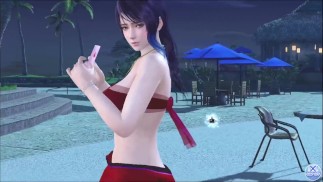 Dead or Alive Xtreme Venus Vacation Шенди День святого Валентина Открытки с позами Фансервис Признательность