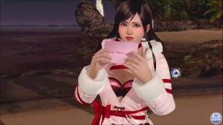 Dead or Alive Xtreme Venus Vacation Kokoro День святого Валентина Позовые открытки Фансервис Признательность