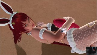 Muerto o vivo Xtreme Venus vacaciones Kanna Día de San Valentín Cojín Del corazón Pose Fanservice Apreciación
