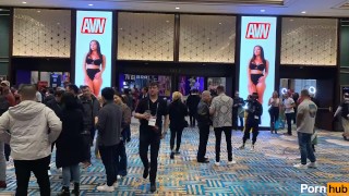 Резюме AVN с Pornhub