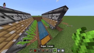 Como construir uma fazenda de Sugar Cane automática