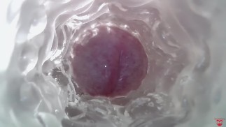 Dolce sborrata nella vagina. Super fotocamera interna