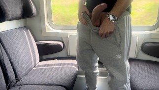 Hans et Tobias - Branler ma grosse bite et jouir dans le train en public