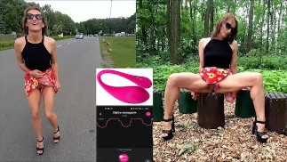 リモートバイブレーターでParkで公共の点滅