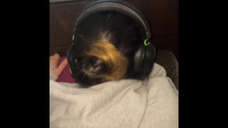 Chica gamer