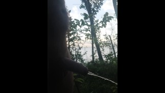 Goldener Regen in der Natur. öffentlicher Strand