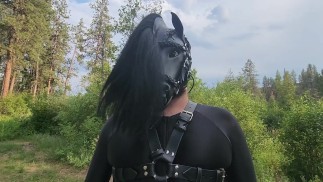 Игра с пони - Пони выпускают на пастбище, а затем заставляют тренироваться - Полная