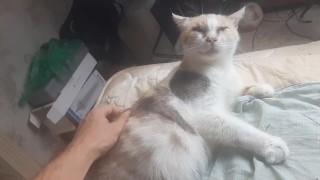 Malvina is a cute cat
