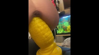 MILF super chaude joue avec son gode de maïs étirant la chatte