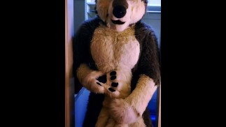 vlk fursuit pochva tlapka pryč a cum 💦